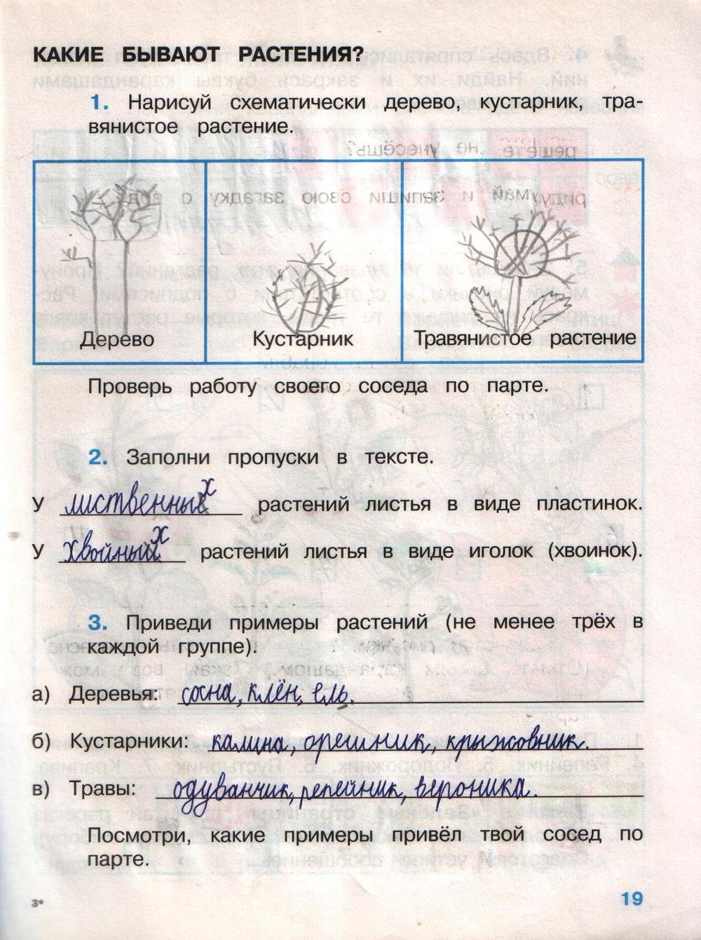 готовое задание по фото