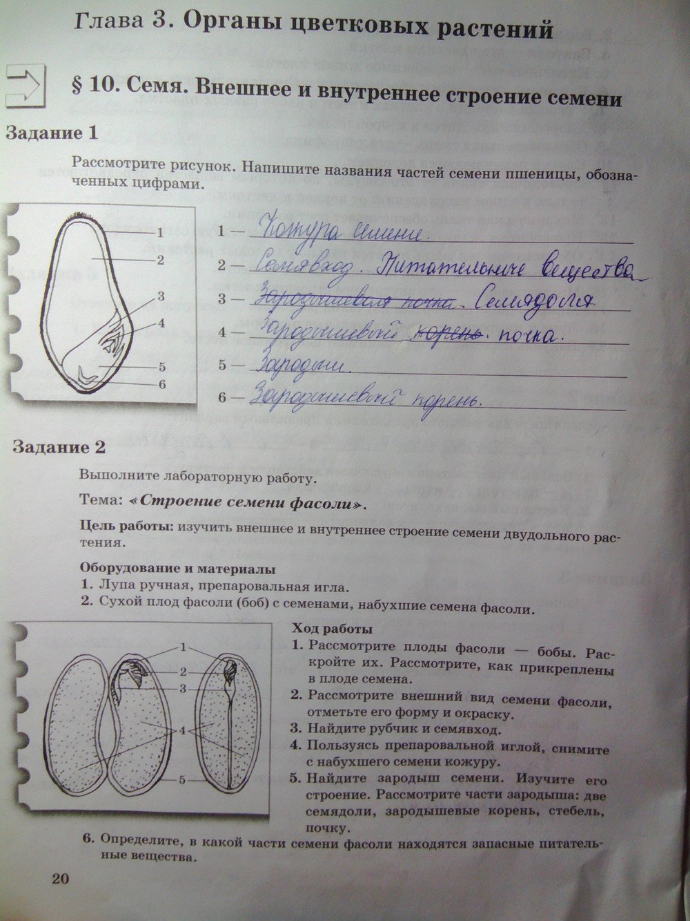 ответы по фото биология