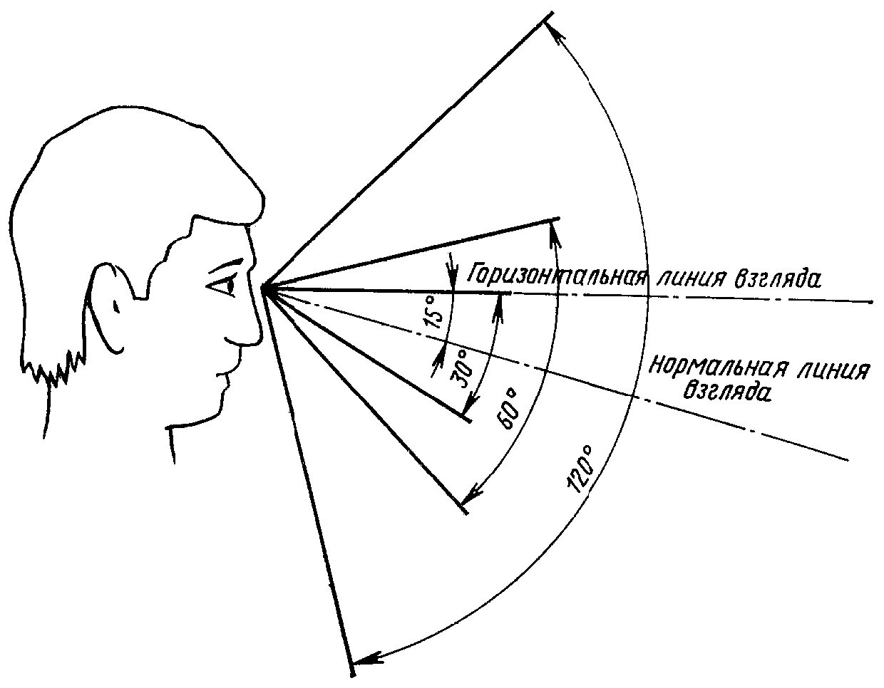 Линии в вертикальной плоскости и. Угол периферийного зрения человека. Угол обзора зрения человека. Угол поля зрения человека. Угол обзора человеческого глаза по вертикали.